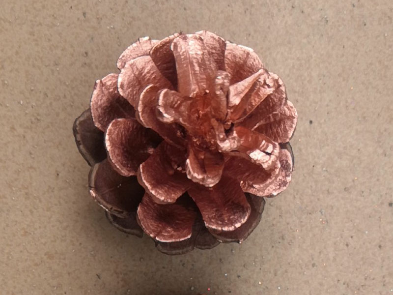 ���~�����ڽ��ݹ�ˇ��