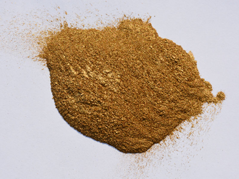 ��t���~���800Ŀ